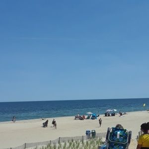 Meet your Posher, Lily